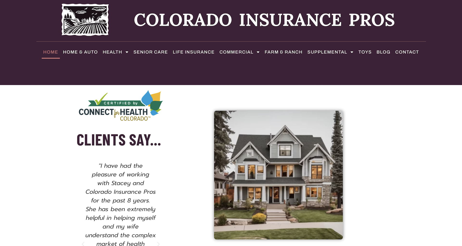 Cortez Web Services portfolio site for Colorado Insurance Pros